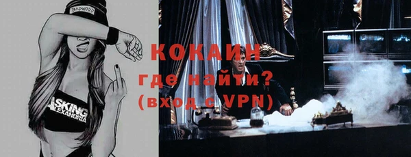 шишки Касимов