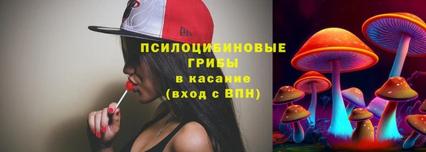 шишки Касимов