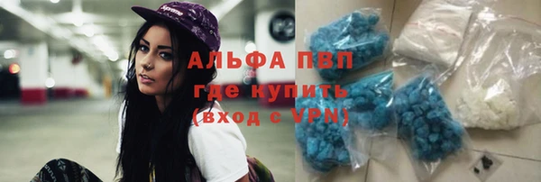 шишки Касимов