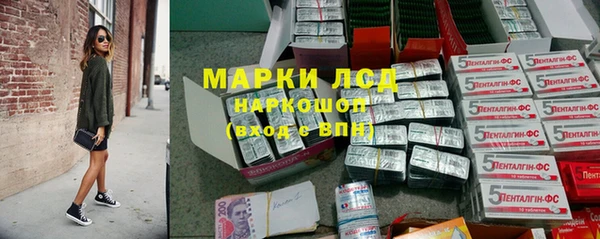 ГАЛЛЮЦИНОГЕННЫЕ ГРИБЫ Карпинск
