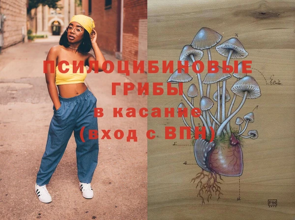 ГАЛЛЮЦИНОГЕННЫЕ ГРИБЫ Карпинск