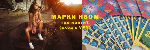 ГАЛЛЮЦИНОГЕННЫЕ ГРИБЫ Карпинск