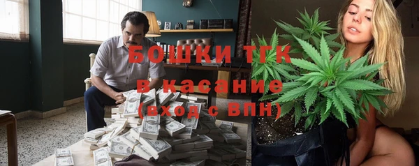ГАЛЛЮЦИНОГЕННЫЕ ГРИБЫ Карпинск