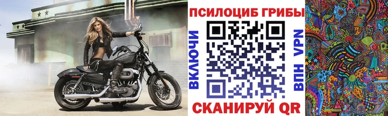 Псилоцибиновые грибы ЛСД  Купить где  Катайск 